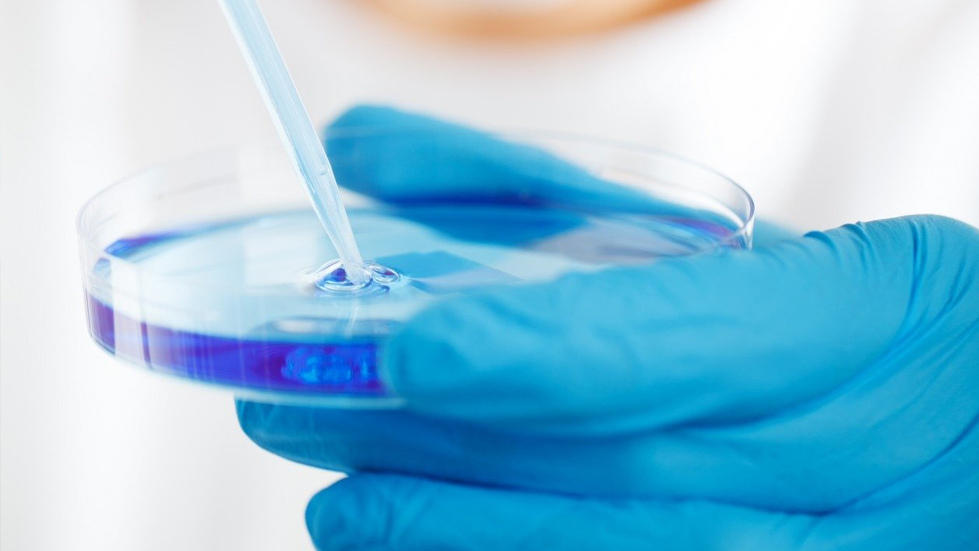 撫順市清原助劑廠(chǎng)有限公司